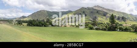 Paysage avec prés, arbres et collines dans la campagne verte, tourné dans la lumière de printemps vive près d'Okaramio, Marlborough, l'île du Sud, Nouvelle-Zélande Banque D'Images