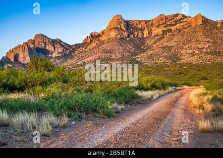 Silver Peak Massif, vue au lever du soleil de la route de terre près de Portal, Chiricahua Mountains, Arizona, États-Unis Banque D'Images