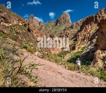 Le Flatiron, Randonneur À Siphon Draw Trail, Superstition Mountains, Tonto National Forest, Près Du Parc National Lost Hollandais, Près D'Apache Junction, Arizona Banque D'Images