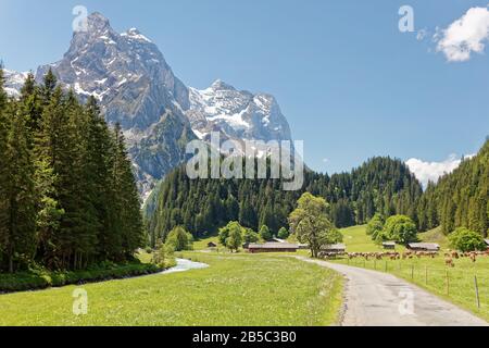 Vue sur le massif du Wellhorn et le glacier Rosenlaui depuis la vallée de Reichenbachtal, Oberhasli, Suisse Banque D'Images