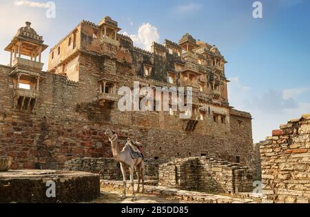 Chameau pour une balade touristique dans les ruines antiques du palais de Rana Kumbha à Chittorgarh fort Rajasthan, Inde Banque D'Images