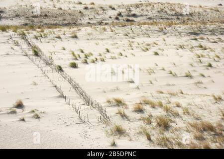 Dunes de Parnidis, Lituanie Banque D'Images