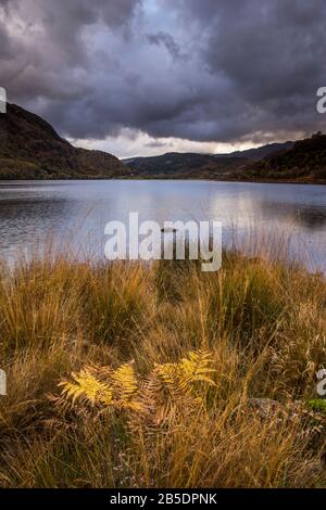 Llyn Dinas près de Beddgelert, Gwynedd, pays de Galles du Nord, Royaume-Uni Banque D'Images