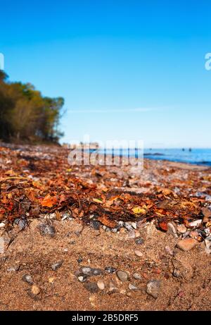 Un sol de plage formé de pierres de galets et de sable sur l'île de Fehmarn en mer Baltique Banque D'Images