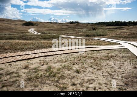 Promenade sur les dunes de Parnidis, Lituanie Banque D'Images