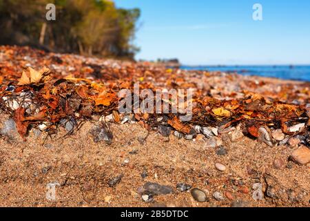 Un sol de plage formé de pierres de galets et de sable sur l'île de Fehmarn en mer Baltique Banque D'Images