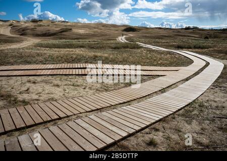 Promenade sur les dunes de Parnidis, Lituanie Banque D'Images