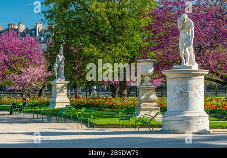 Vue sur le parc des Tuileries avec des fleurs, des statues, fontaine, et les cerisiers en fleurs en avril - Le printemps à Paris, France. Banque D'Images