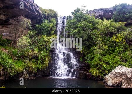 Une petite cascade, tombant dans une piscine isolée dans le ruisseau Troutbeck dans la réserve naturelle de Cobham dans les contreforts de Drakensberg en Afrique du Sud Banque D'Images