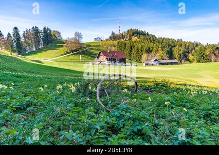 Magnifique randonnée jusqu'au point de vue sur le Pfänder sur le lac de Constance Banque D'Images