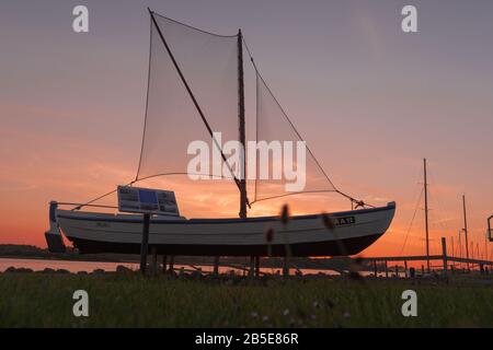 Port de plaisance de Maasholm, petite communauté de pêcheurs du fjord Schlei, Mer Baltique, Schleswig-Holstein, Allemagne du Nord, Europe, Banque D'Images