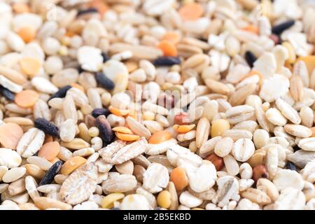 détail de gros plan coloré à grains mélangés pour afficher l'arrière-plan Banque D'Images