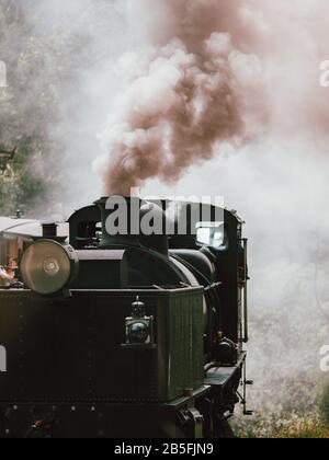 Un vieux train à vapeur sur un pont ferroviaire, traversant une forêt tropicale en Australie Banque D'Images