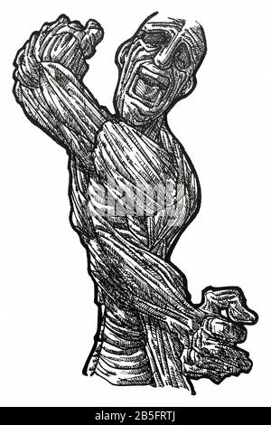 Dessin D'Encre (Travail De Hachures) De Corps Musclé Détaillé Contorqué Dans Un Style Unique Texturé. Illustration du manuel artistique tournée vers Vector. Douleur, Agonie, Illustration de Vecteur