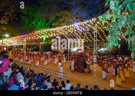 Festival, "Esala Perahera", Kataragama, Sri Lanka Banque D'Images