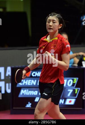 Doha. 8 mars 2020. Chen Meng, de la Chine, célèbre après avoir remporté Ito Mima, du Japon, lors du match final sur les célibataires des femmes, à l'occasion de l'ouverture de l'ITTF Qatar en 2020 à Doha, au Qatar, le 8 mars 2020. Crédit: Nikku/Xinhua/Alay Live News Banque D'Images