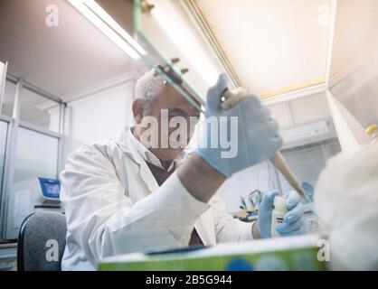 (200308) -- LE CAIRE, le 8 mars 2020 (Xinhua) -- Ali Mohamed Zaki, professeur de microbiologie et d'immunité à la Faculté de médecine de l'Université Ain Shams, travaille dans un laboratoire au Caire, en Egypte, le 7 mars 2020. POUR ALLER AVEC 'Interview: La Chine maintient avec succès le contrôle de l'infection de COVID-19: MERS découvreur' (Xinhua/Wu Huiwo) Banque D'Images