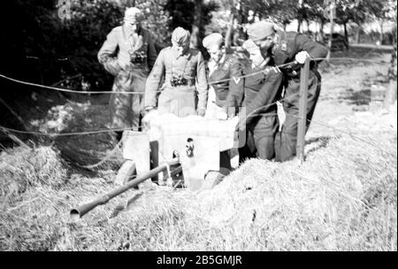 Wehrmacht Heer Panzerabwehrkanone PAK 112(f) 25 mm / 2,5 c - pistolet anti-réservoir de l'armée allemande Mle 1934 Banque D'Images