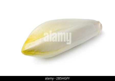 Un seul ensemble frais brut belge endive isolé sur fond blanc Banque D'Images