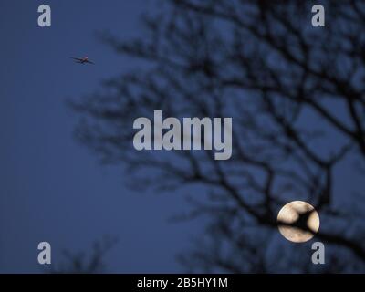 Sheerness, Kent, Royaume-Uni. 8 mars 2020. Royaume-Uni Météo: Le Worm Super Moon complet monte dans le ciel de nuit ce soir. Crédit: James Bell/Alay Live News Banque D'Images