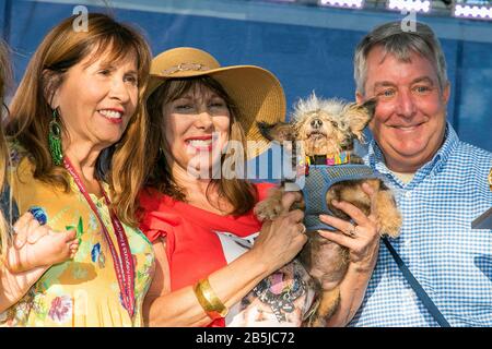 'Camp the Trap', un chien errant adopté par Yvonne Morones de Santa Rosa a eu lieu pour la première fois lors du concours le Plus Sauvage de chien® au monde en 2019, Petaluma, Californie Banque D'Images