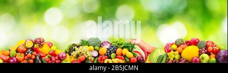 Panorama des fruits et légumes frais sur fond vert. Collage pour skinali (panneau en verre) Banque D'Images