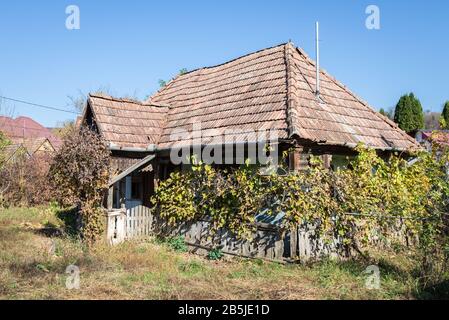 Vue panoramique sur une ancienne maison en déclin couverte de vignes Banque D'Images
