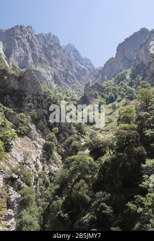 Gorges CARES, Principauté des Asturies/Espagne ; 05 août 2015. Cette gorge, avec ses passes étroites et ses gullies, est en plein cœur des Picos de Eur Banque D'Images