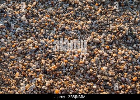 Fond naturel, galets de mer multicolores sur la plage dans un éclairage au coucher du soleil Banque D'Images