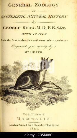 Titre de la zoologie générale, ou histoire naturelle Systématique Vol II partie 2 Mammalia, de Shaw, George, 1751-1813; Stephens, James Francis, 1792-1853; Heath, Charles, 1785-1848, graveur; Griffith, Mme, graveur; Chappelow. Copperplate Imprimé à Londres en 1801 par G. Kearsley Banque D'Images