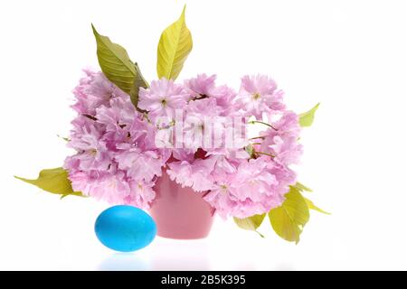 Sakura et oeuf. Bouquet de cerisiers en fleurs japonais près de la décoration traditionnelle de Pâques en bleu, isolé sur fond blanc. Concept de vacances de printemps Banque D'Images