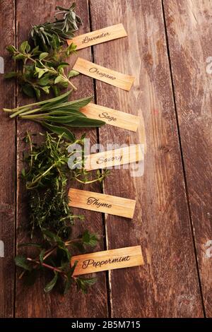Herbes aromatiques et locales sur fond rustique.ensemble d'herbes culinaires. Sauge verte, origan, thym, menthe et origan avec étiquettes Banque D'Images
