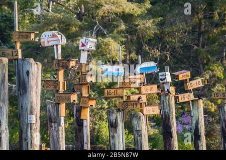 La fantaisie a été apportée à la conservation des martins violets, avec des RV de style rétro reliant d'autres nicheuses au sommet de pilages en bois à Tod Inlet, en Colombie-Britannique. Banque D'Images