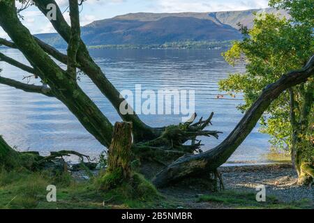 Vue sur le Loch tout en explorant le sentier de randonnée de West Highland Way en Écosse. Banque D'Images