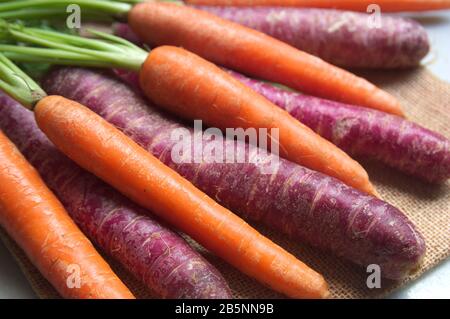 Carottes violettes et oranges sur un tissu à rackCloth brun avec lumière naturelle Banque D'Images