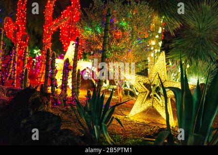 Jardin botanique de Cactus Las vegas. - déc, 2019 affichage Lumineux Coloré du cactus Banque D'Images