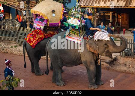 Les éléphants défilant dans la rue principale à Viengkeo Village au Festival de l'éléphant, Hongsa, Laos Banque D'Images