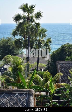 Toits de chaume balinais traditionnels parmi les palmiers et les bananiers sur la côte est de Bali. Banque D'Images