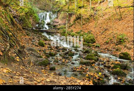 Chute d'automne avec paysage de feuillage parc national de bolu yedigoller, Bolu Turquie. Banque D'Images