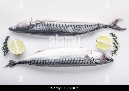 Maquereau sauvage frais sur fond blanc. poisson de mer scomber, limes et herbes épicées. Vue de dessus Banque D'Images