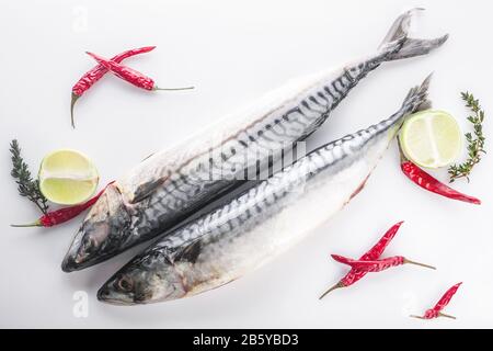 Maquereau sauvage frais sur fond blanc. poisson de mer scomber, limes, herbes épicées et poivrons chauds. Banque D'Images