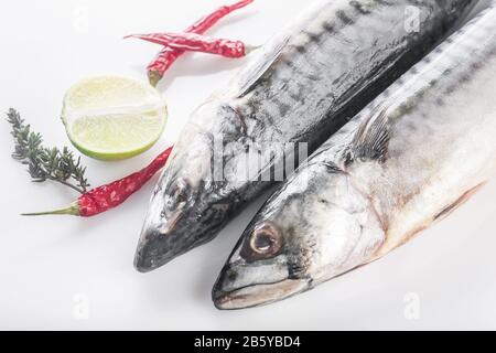 Gros plan sur un fond blanc du maquereau sauvage frais. poisson de mer scomber, limes, herbes épicées et poivrons chauds. Banque D'Images