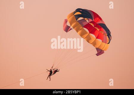 Paraseliers Volant Sur Le Parachute Coloré Au Coucher Du Soleil Ou Au Lever Du Soleil. Hobby Actif. Banque D'Images