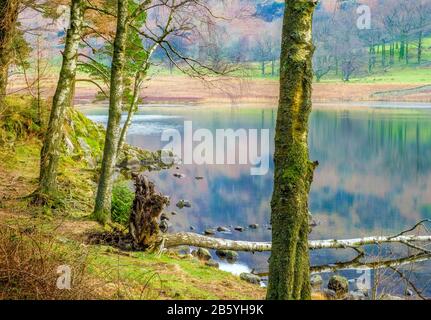 Blea Tarn lors d'une matinée d'hiver calme près de Langdale dans le parc national du Lake District, Cumbria, Royaume-Uni Banque D'Images