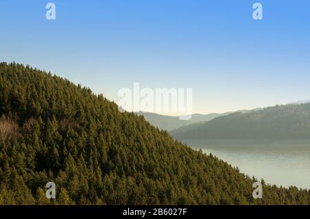 forêt de montagne avec lac en arrière-plan Banque D'Images
