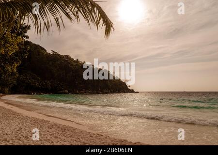 Plage tropicale de Seychelles, plage blanche avec palmier à Praslin Seychelles Banque D'Images