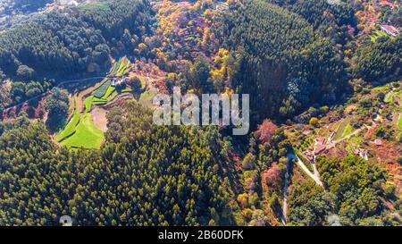 Antenne. Les forêts et le paysage de la zone écologique Monchique. Du ciel par drones. Banque D'Images