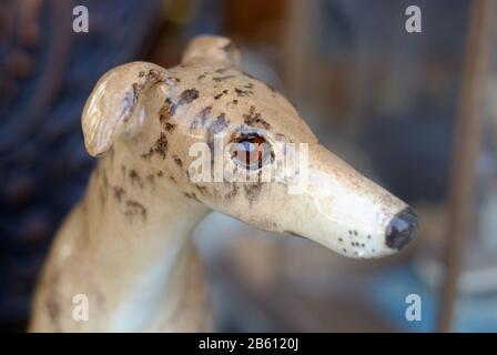 tête en porcelaine de type greyhound chien Banque D'Images