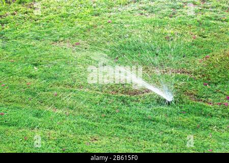 Jardin de gicleurs d'arrosage des pelouses. Arrosage automatique pelouse concept. Banque D'Images