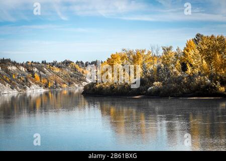 Feuilles d'or à l'automne sur la rivière Saskatchewan Edmonton Alberta. Banque D'Images